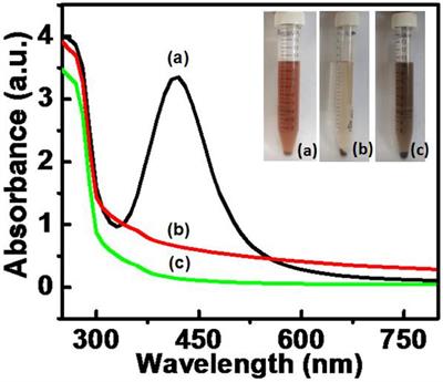 Antimicrobial Synergy of Silver-Platinum Nanohybrids With Antibiotics